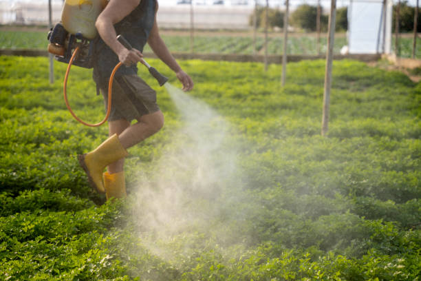 Best Best Pest Control Companies  in Greenhills, OH