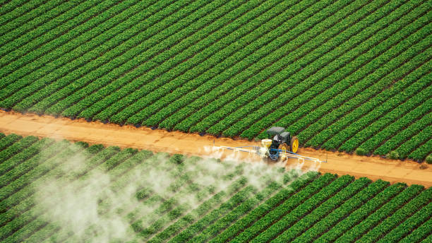Best Affordable Exterminators  in Greenhills, OH
