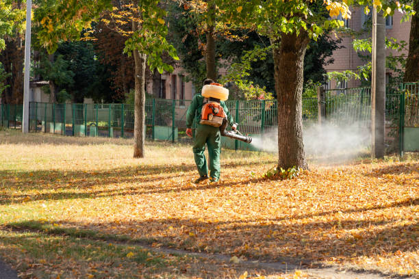 Professional Pest Control in Greenhills, OH