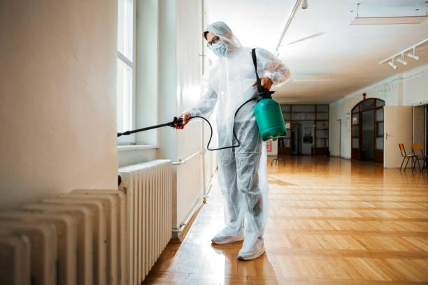 Best Wasp Removal Services  in Greenhills, OH