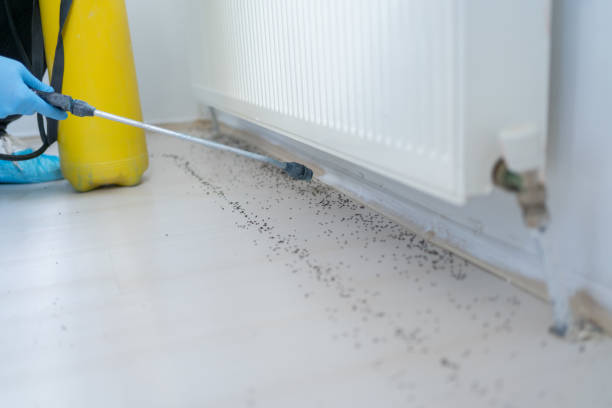 Best Flea Control Services  in Greenhills, OH