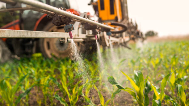 Best Mosquito Control Services  in Greenhills, OH